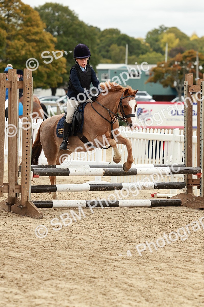 SBM_67152 - J13 - Junior Pony 60cm Championship