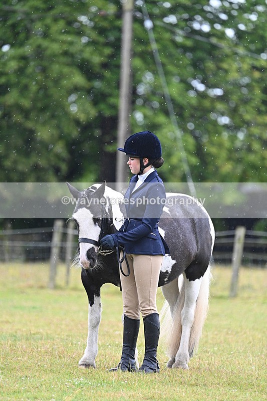WJ7_5798 - Class 4 Prettiest Mare in Hand