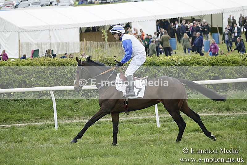 PtP 170417 509 - Old Berks Point-to-Point Lockinge 17/04/17