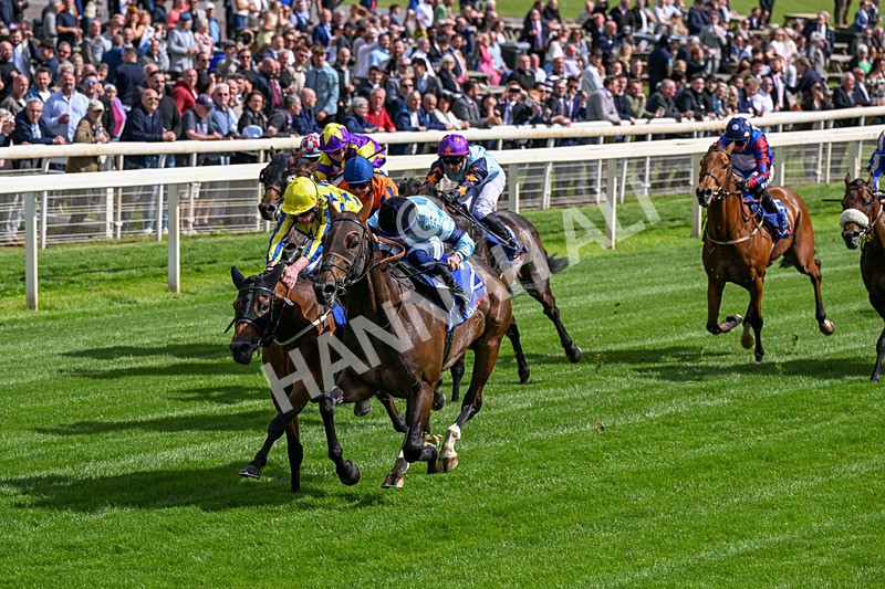 120626-Race 5-Antipodes-0290 - Race 5 16.10pm Sky Bet The World's Gone Football Handicap