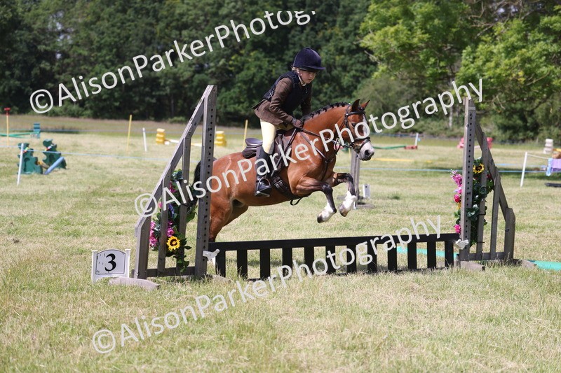 20260614-1746 - Class 21 - Novice Working Hunter Pony