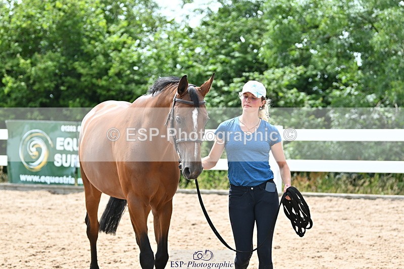 240717A-142859-02084 - Trot Up 2pm to 3pm - This folder is not in time order