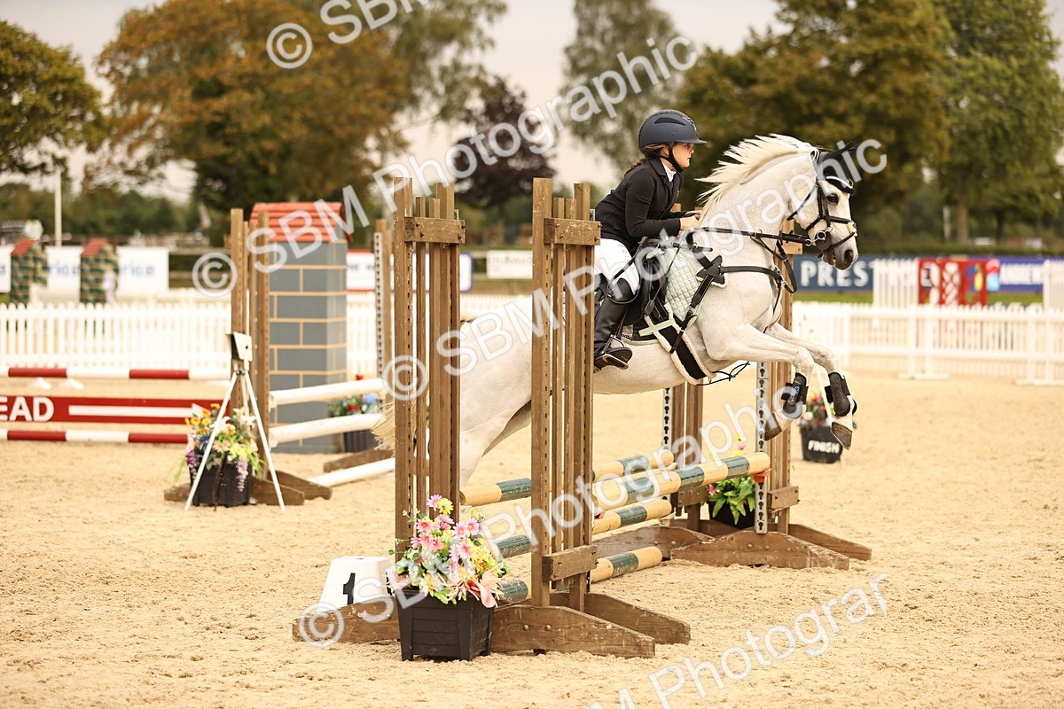 SBM_74401 - J14 - Junior Pony 65cm Championship