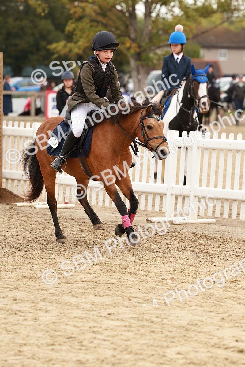 SBM_57618 - J11 - Junior Pony 50cm Championship