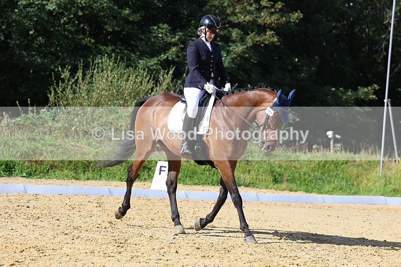 3E7A2572 - Class 1: Intro 4 2024 section A