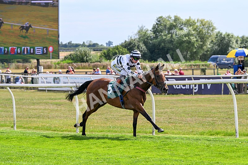 260826-Race 2-Lady Gormire-2373 - Race 2 14:45 Berber Leather Maiden Stakes