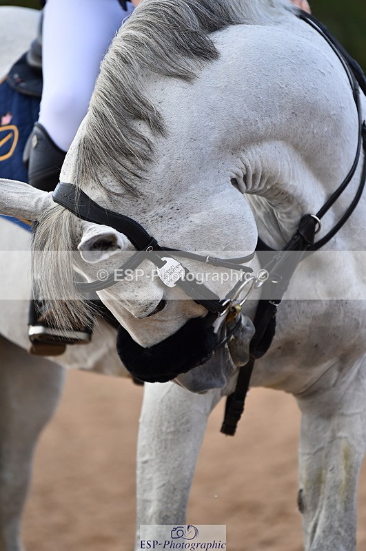 231014A-145452-05384 - Cls 15 1.05m Amateur Q 2nd R