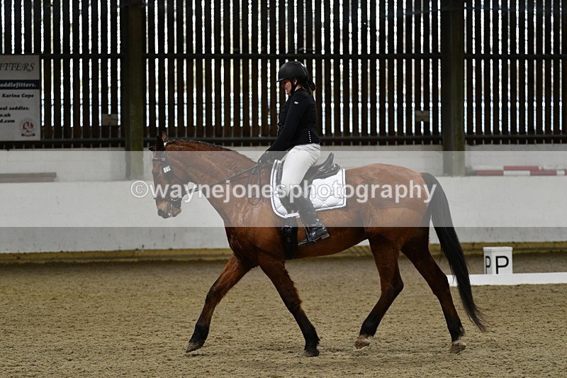 WJ5_3977 - Time 14:54 to 15:14