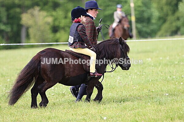 IMG_2248 - Working Hunter