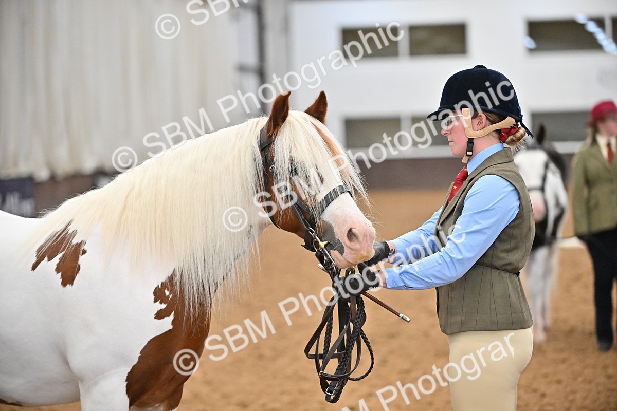 SBM_000033 - Class 1 - In Hand Cob