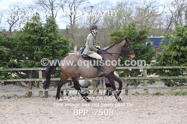 BPP_7508 - RING 1  (RIDDEN HORSES / IN HAND / VETERAN ETC)