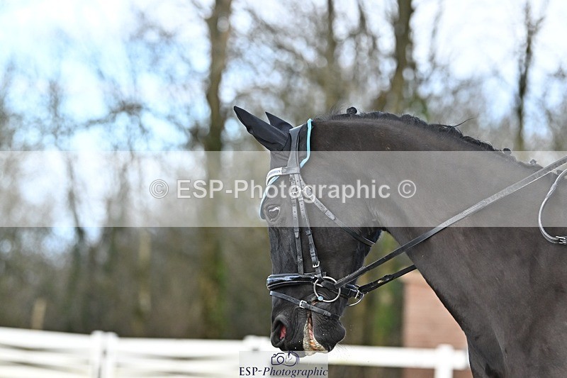 241214-115041-01467 - 131-Alys.Matravers-DARGASONS.MOON.SHADOW