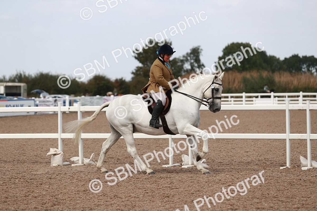 SBM_14941 - Class 212 Ridden Hunter - Small