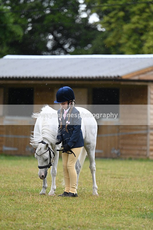 WJ7_5778 - Class 4 Prettiest Mare in Hand
