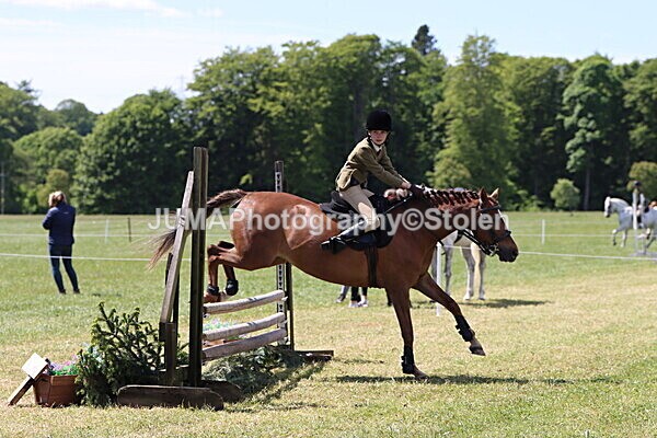 IMG_3623 - Working Hunter