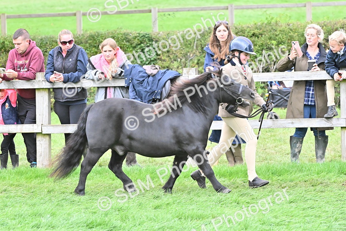 SBM_68546 - S42 - Junior Handler 9-12 Years