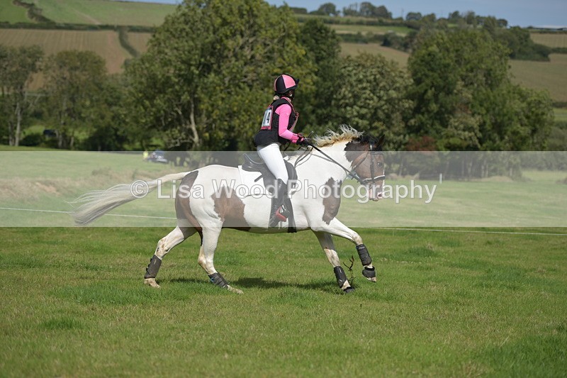 RAY_8632 - Class 2: Trekenning Open: Wall