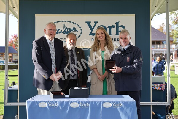 yr07102022r5-43 - Race 5 4.25pm Copper Knight Winningmost Horse Stakes