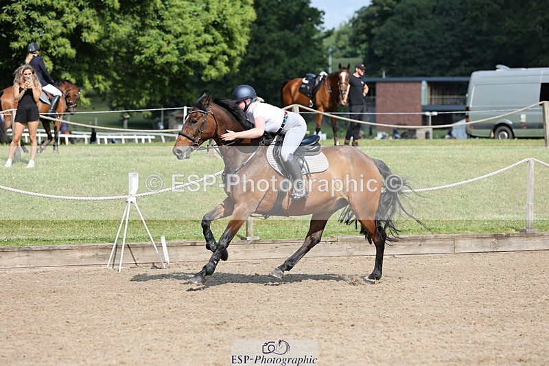 250614A-093740-05338 - Cls 26 British Novice and 90cm Open