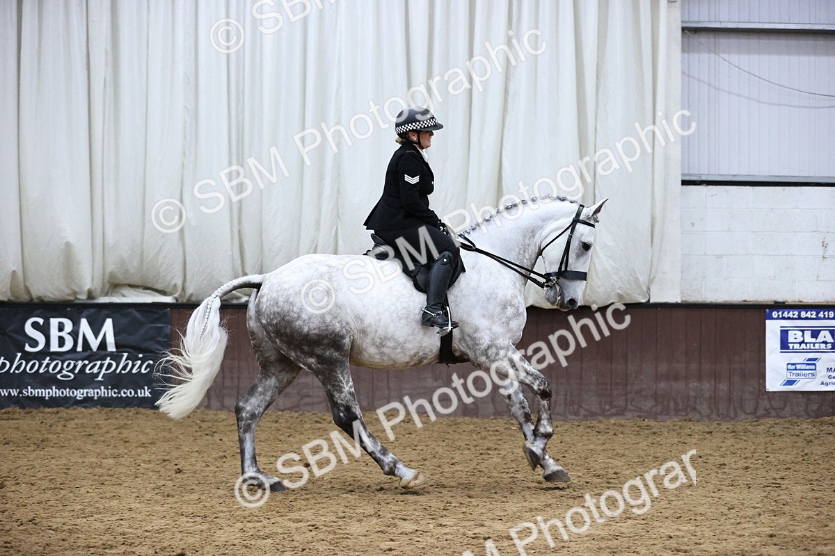 SBM_6305 - Class 17 - IDHSG Challenge Pure Breed