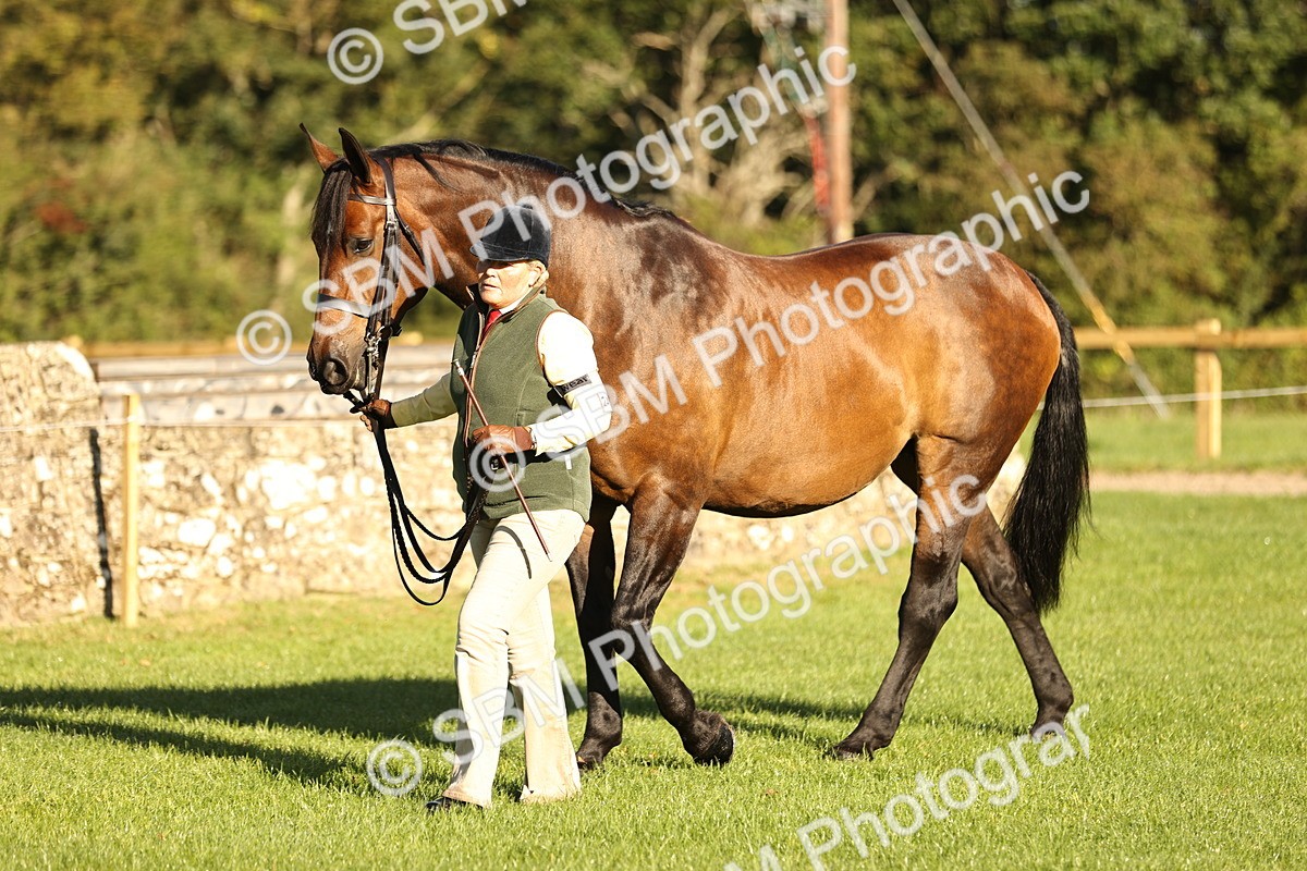 SBM_15718 - S1 - TSR in Hand Horse & Pony Showing