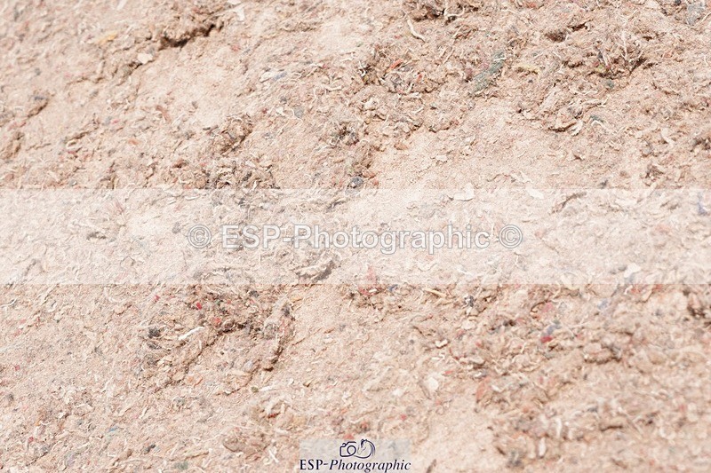 250510-124338-11318 - Cls 15 Prestige Big Star Quali  2nd Jump Off