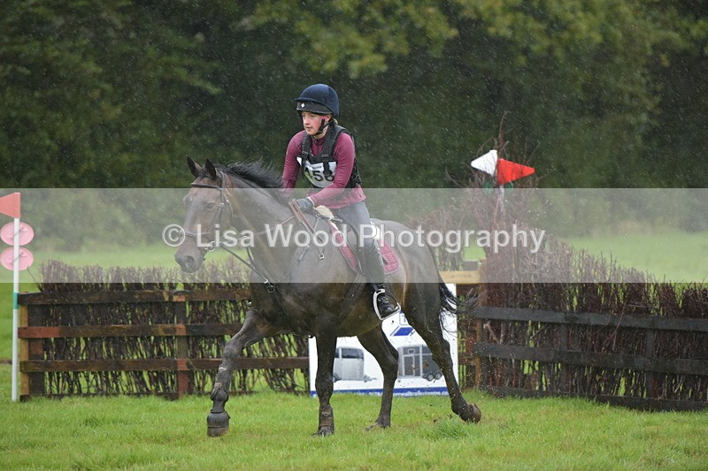 RAY_0428 - Class 4: 80cm: Double of Brushes