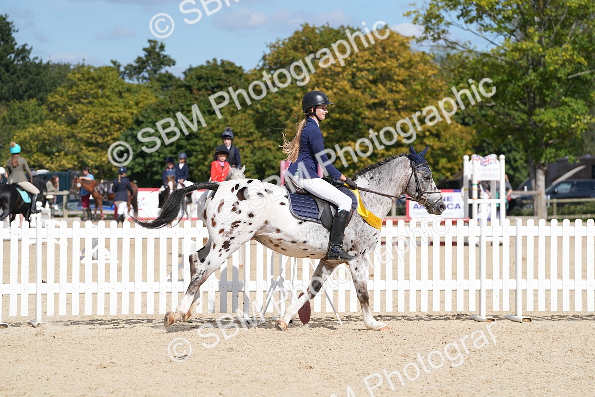 SBM_38941 - J21 - Junior Horse 60cm Championship