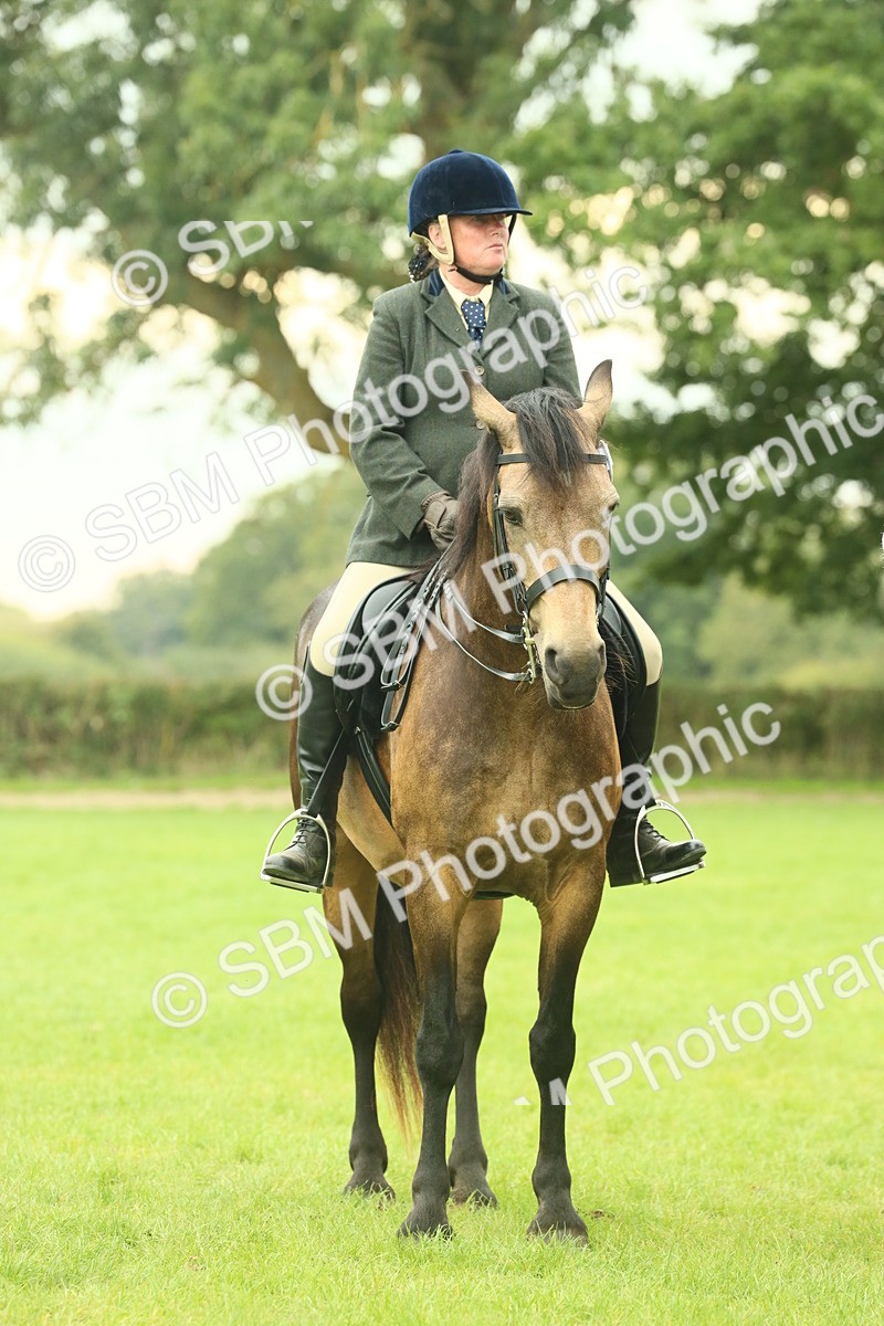 SBM_72185 - S60 - Mountain & Moorland Ridden Large Breeds