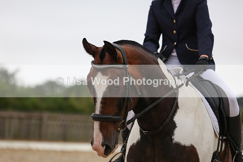 3E7A7947 - Class 1: Intro 3 2024 section A