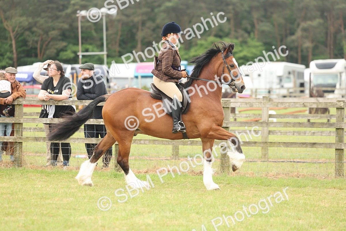SBM_07279 - Class 76-77 - Ridden M&M Welsh Ponies