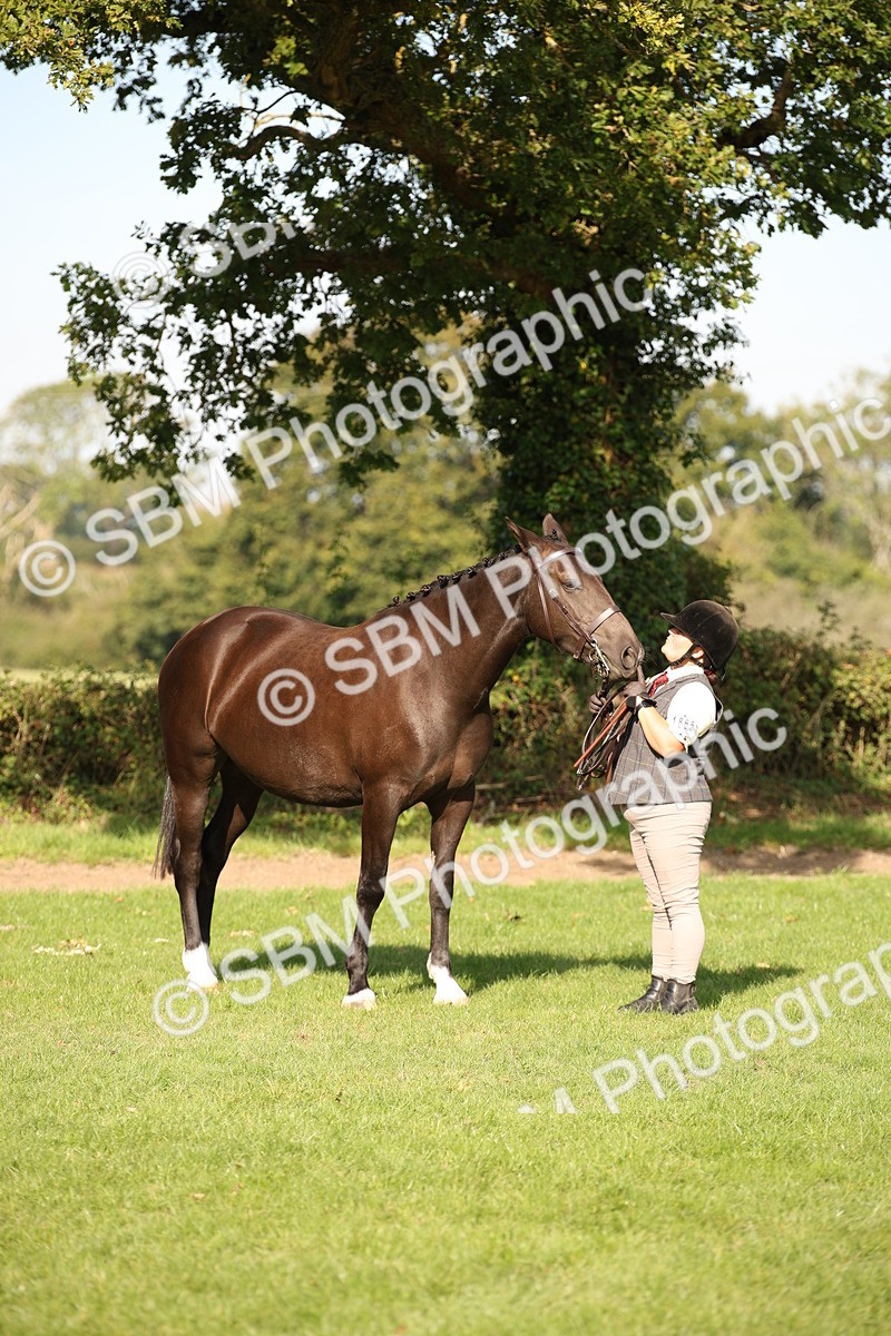 SBM_60126 - S53 - Hunter In Hand