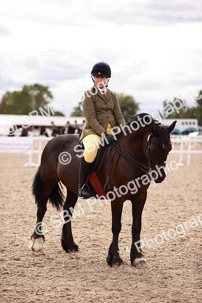 SBM_18396 - Class 418 - Best Condition - Jnr