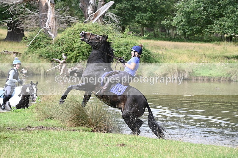 WJ7_1745 - Time at Water 10:48 to 11:13