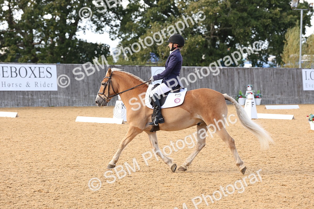 SBM_24615 - D17 - Grand Tour Championship Novice 3
