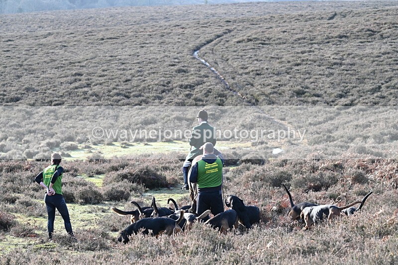 WJ7_8024 - Line 3 (no line 4 or 5)