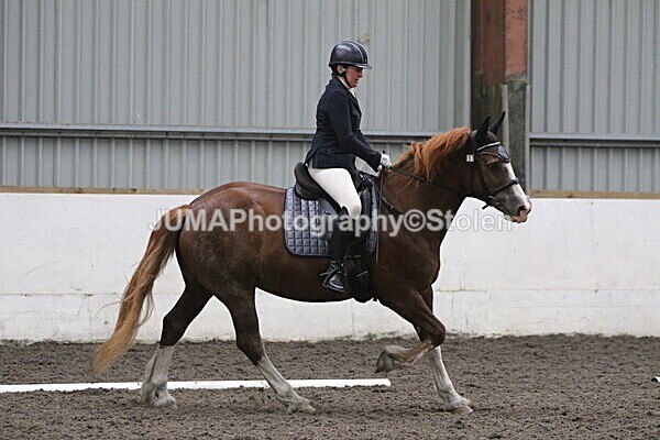 SIAL5634 - CAbin Dressage 5th july 2025
