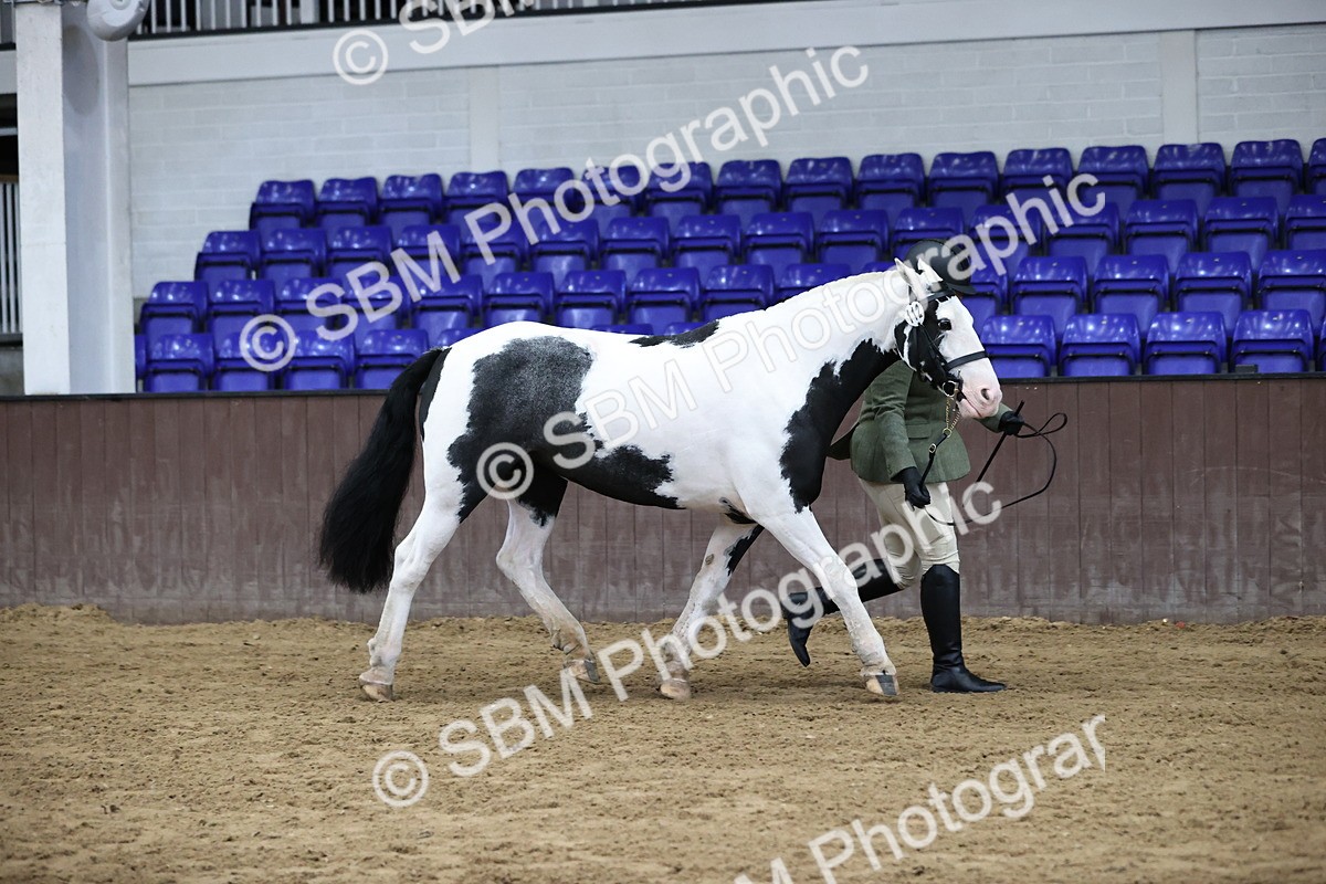SBM_5631 - Class 40 - RESS In Hand Qualifier