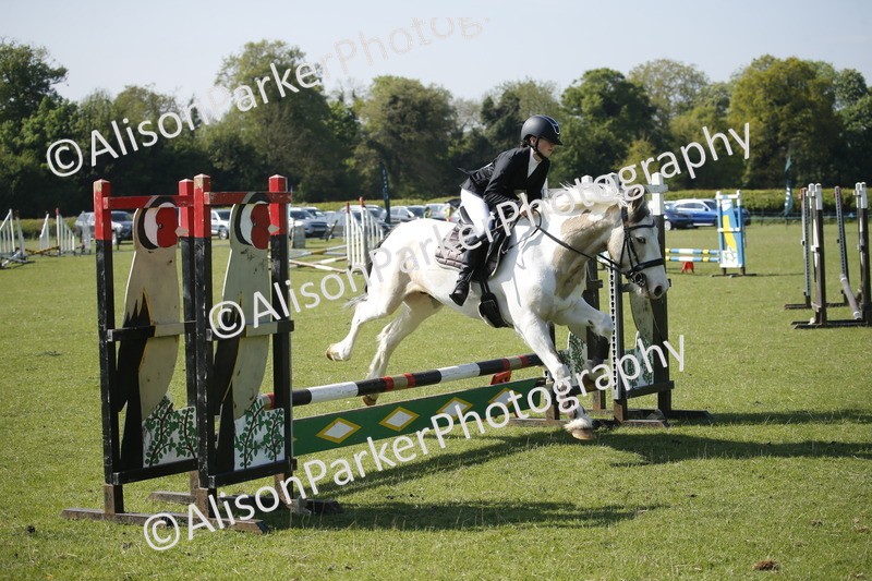 20250427-0449 - Class 12 - Rookie Jumping 40cm