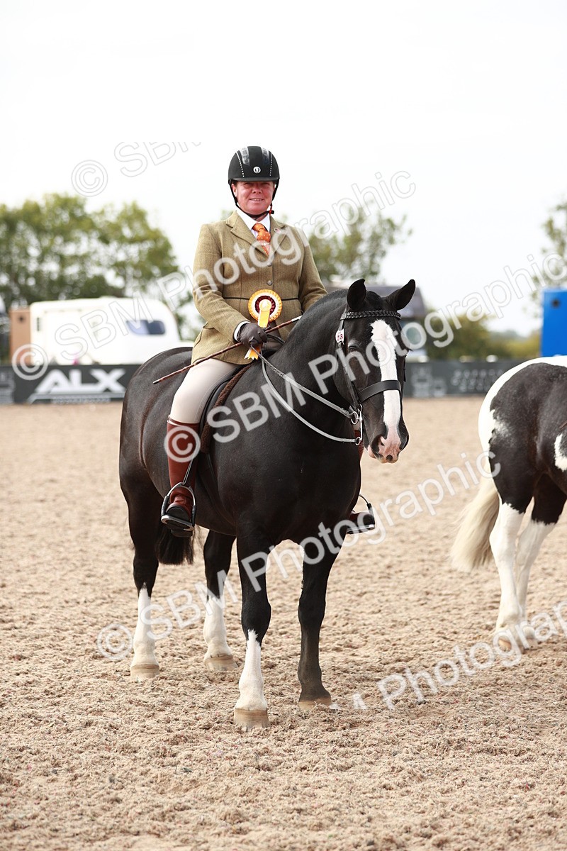 SBM_16826 - Class 214 Ridden Cob