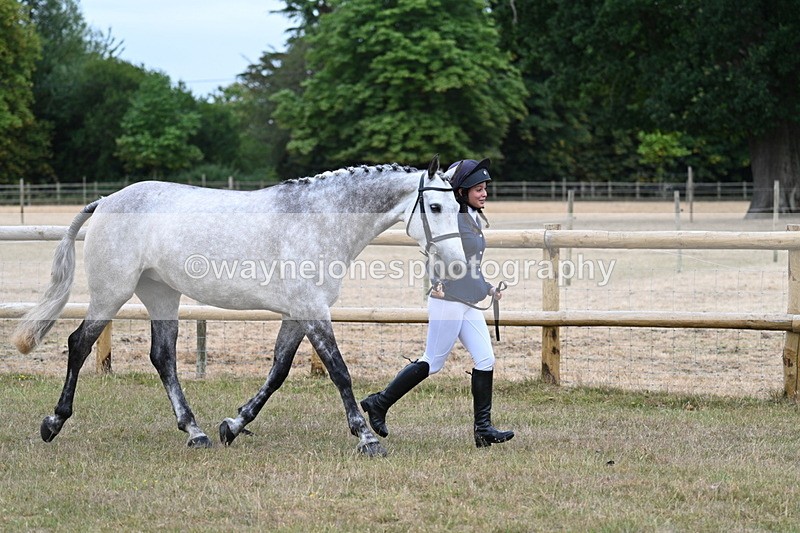 WJ7_8714 - Class 4a Prettiest Mare 14.2hh and over