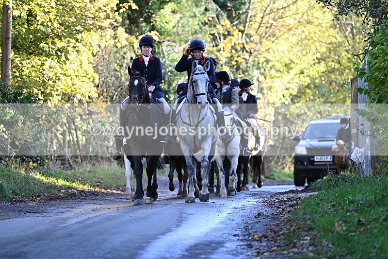 WJ7_8684 - Walk Home