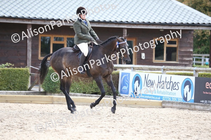 20260831-2669 - Class 15 - Ridden Retraining of Racehorses