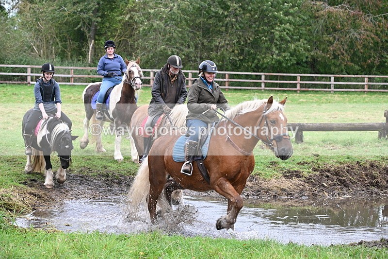 WJ6_8250 - Time at Photographer 13:49 to 14:15