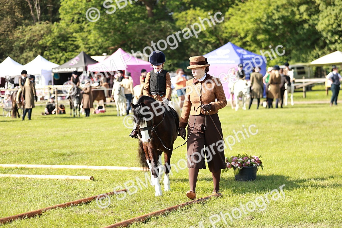 SBM_11283 - Class 106-107 - BSPS LIHS Working Sports Pony