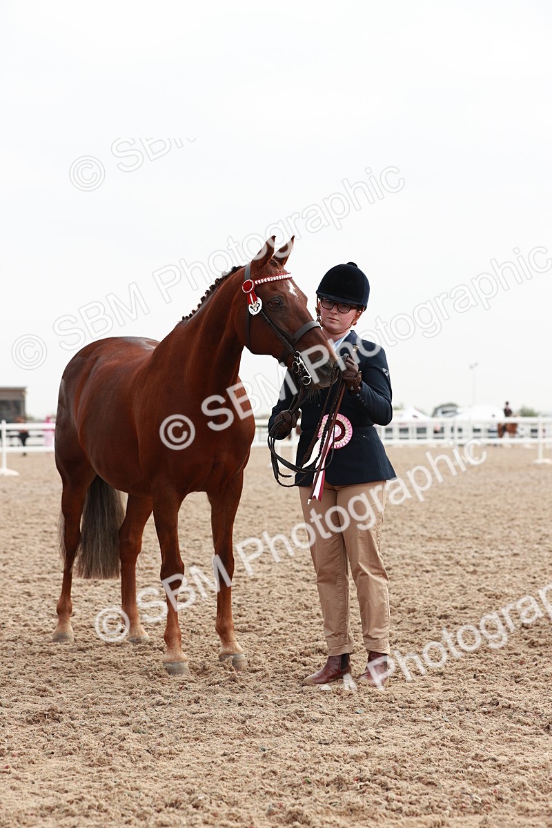 SBM_09581 - Class 201 Best Turned Out IH