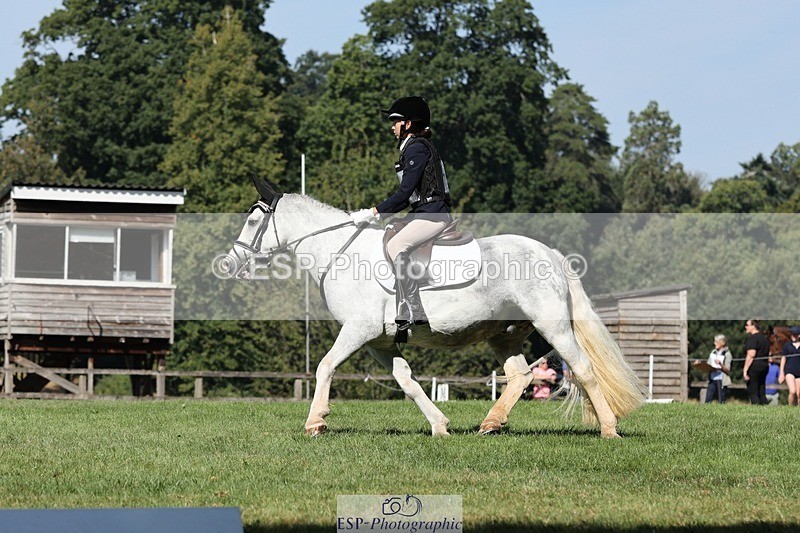 250823A-105919-27849 - Arena D