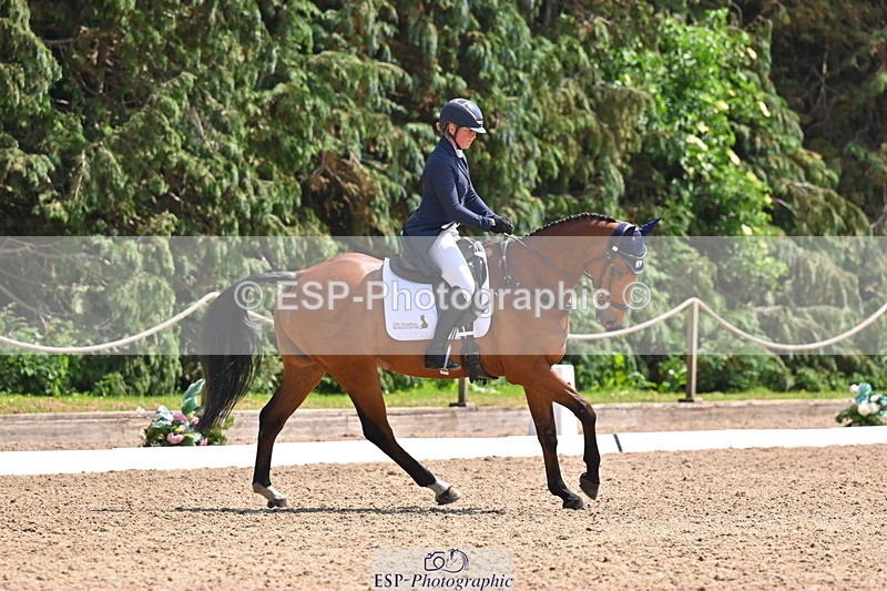 250523A-142206-07313 - B-362-Kat.Raybould-THE.ELLFIELD.DIKSTER