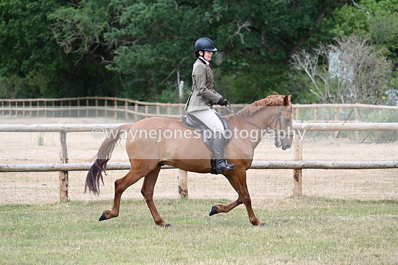 WJ7_0203 - Class 2 Best rider