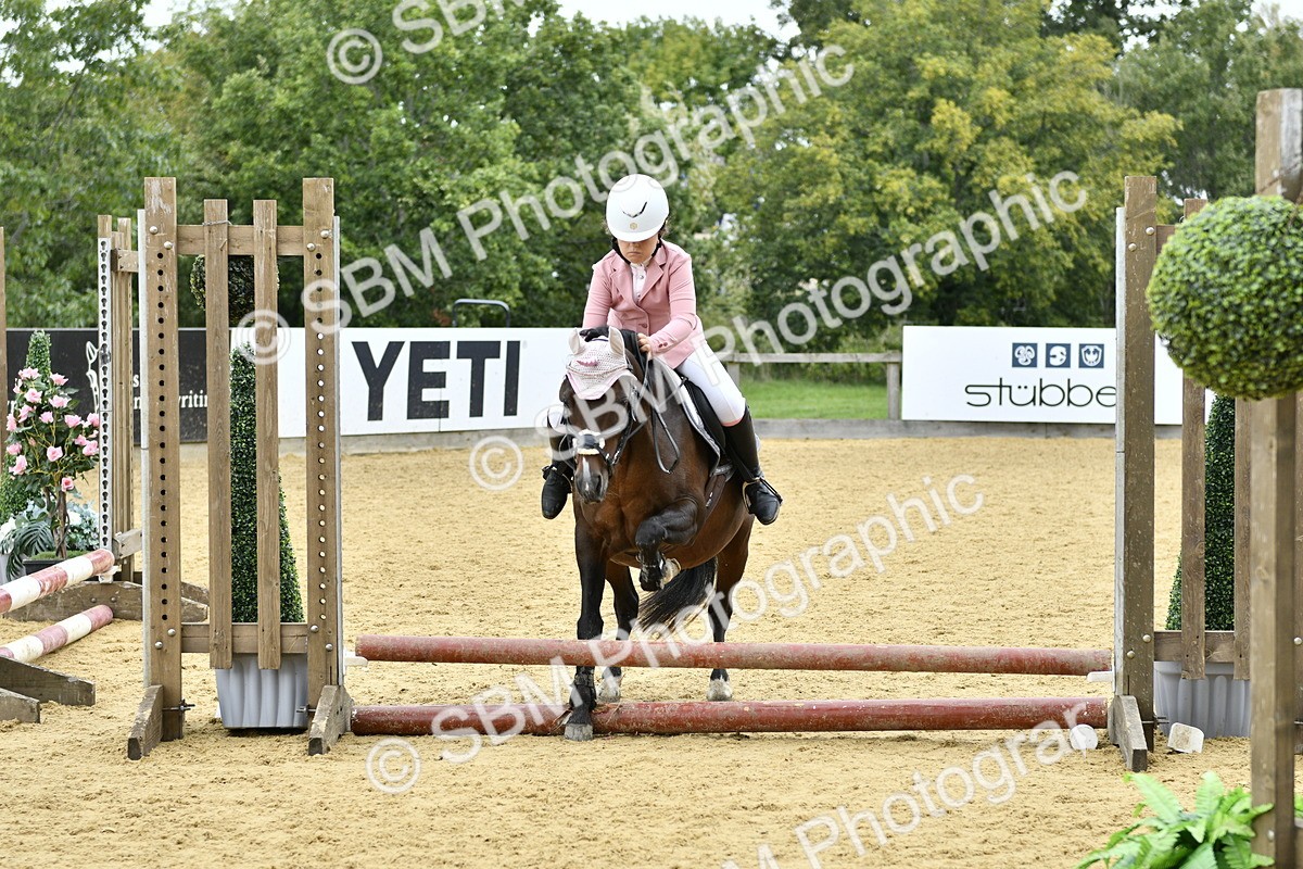 SBM_66189 - J2a mini Tour Junior Pony 30cm Championship